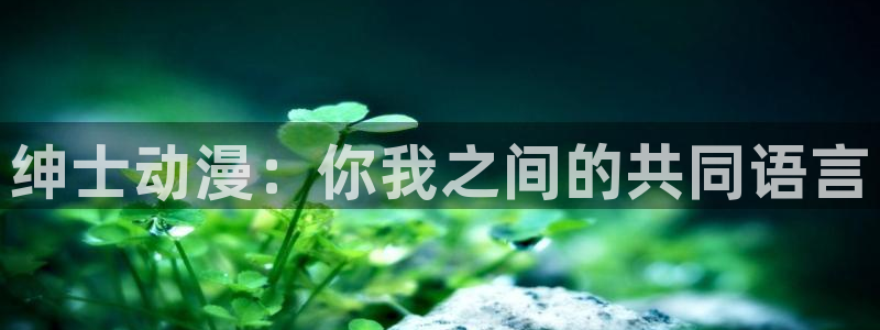 韩国漫画完整版：绅士动漫：你我之间的共同语言配图