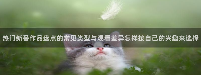 韩国漫画中文网：热门新番作品盘点的常见类型与观看差异怎样按自己的兴趣来选择配图