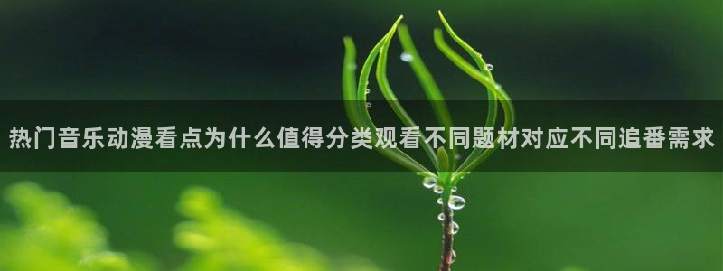 韩漫漫画彩色版：热门音乐动漫看点为什么值得分类观看不同题材对应不同追番需求配图