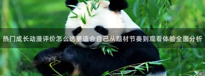 韩漫阅读：热门成长动漫评价怎么选更适合自己从题材节奏到观看体验全面分析配图