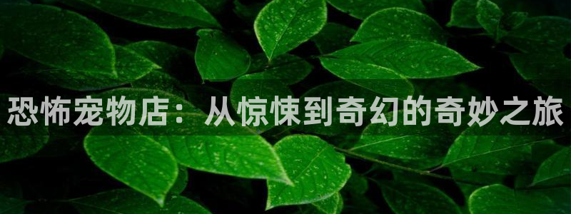 韩漫漫画手机网站：恐怖宠物店：从惊悚到奇幻的奇妙之旅配图