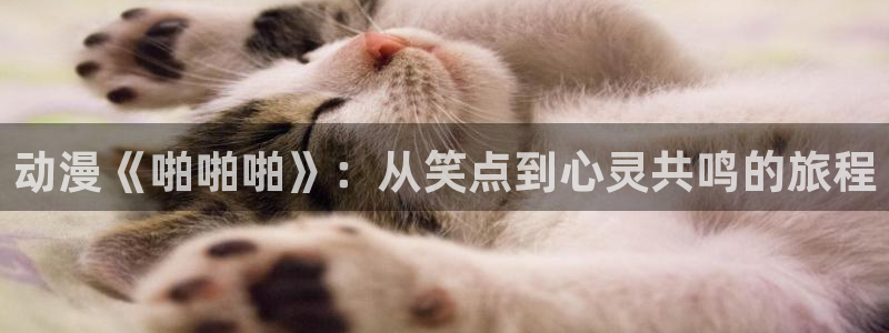 韩漫日常漫画推荐：动漫《啪啪啪》：从笑点到心灵共鸣的旅程配图