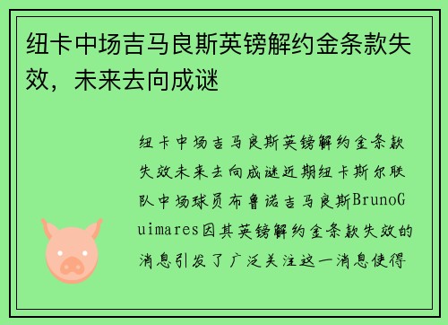 纽卡中场吉马良斯英镑解约金条款失效，未来去向成谜