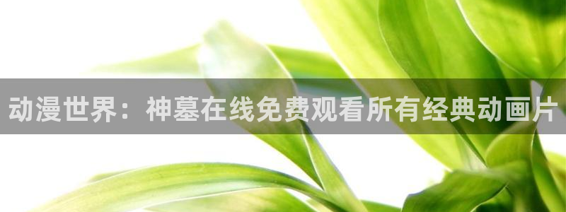 韩漫漫画最新：动漫世界：神墓在线免费观看所有经典动画片配图