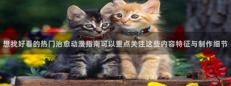 韩漫复仇漫画推荐:想找好看的热门治愈动漫指南可以重点关注这些内容特征与制作细节配图
