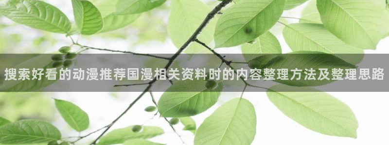 最新韩漫漫画:搜索好看的动漫推荐国漫相关资料时的内容整理方法及整理思路配图