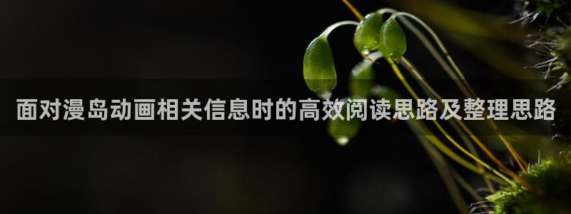 韩漫悬疑漫画推荐:面对漫岛动画相关信息时的高效阅读思路及整理思路配图