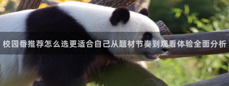 在线韩漫漫画阅读:校园番推荐怎么选更适合自己从题材节奏到观看体验全面分析配图